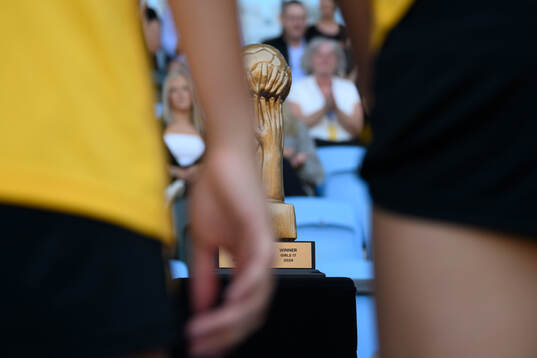 En pokal