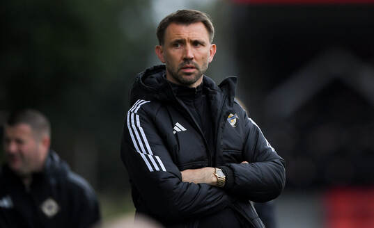 Northern Ireland head coach Gareth McAuley