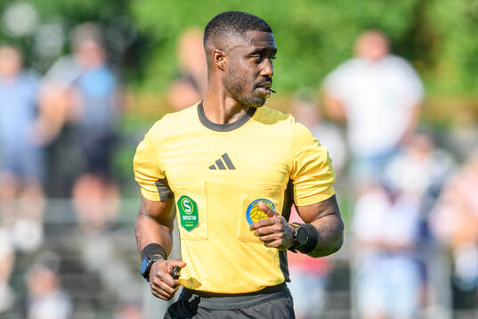 Domare Fredrik Oppong