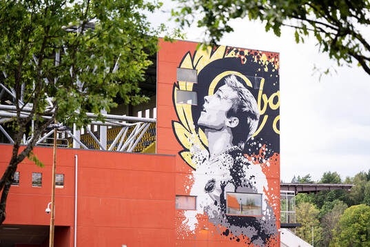 Detaljbild exteriört på Borås arena