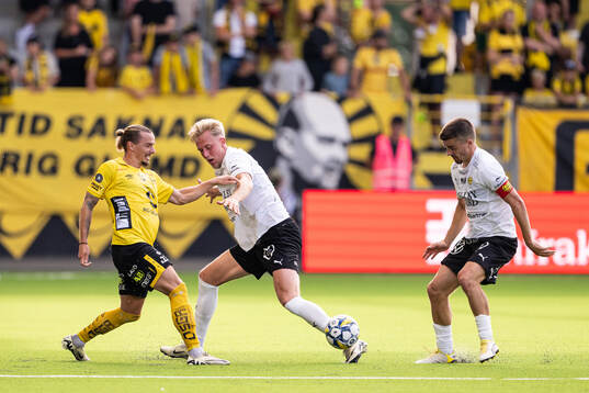 Elfsborgs Niklas Hult