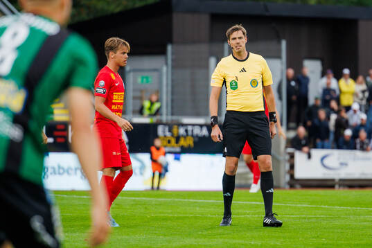 Domare Magnus Lindgren