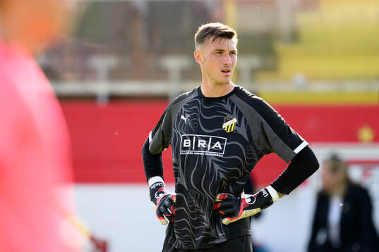 Goalkeeper Andreas Linde