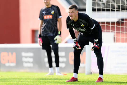 Goalkeeper Andreas Linde