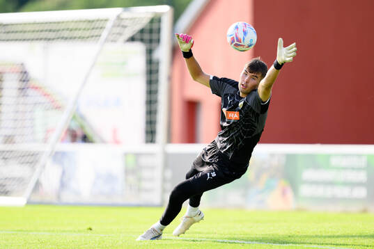 Goalkeeper Sebastian Banozic
