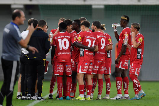 Players of Elfsborg