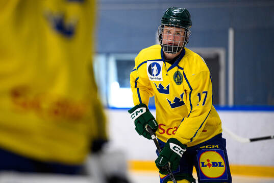 Lukas Andersson of Sweden