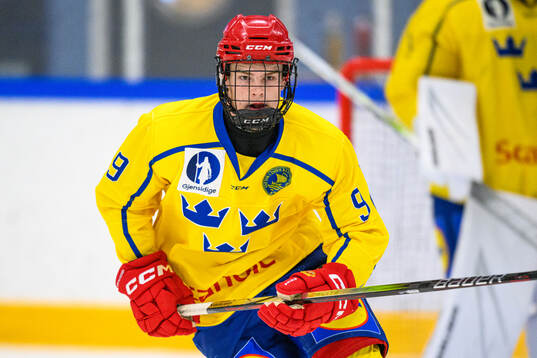 Vilgot Lidén of Sweden