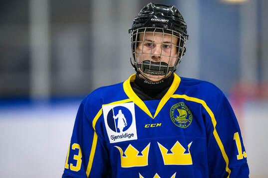 Elton Hermansson of Sweden