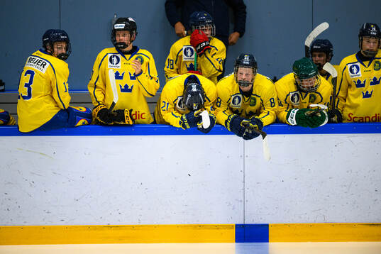 Players of Sweden