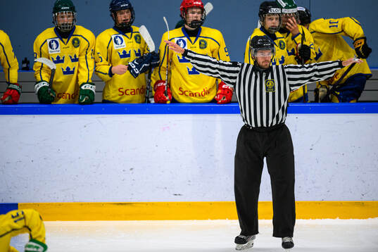 A linesman of Sweden