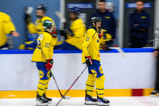 Marcus Nordmark of Sweden celebrates scoring a goal