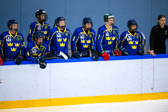 Players of Sweden
