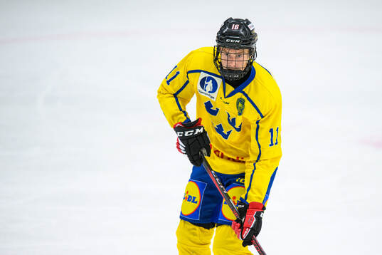 Marcus Nordmark of Sweden