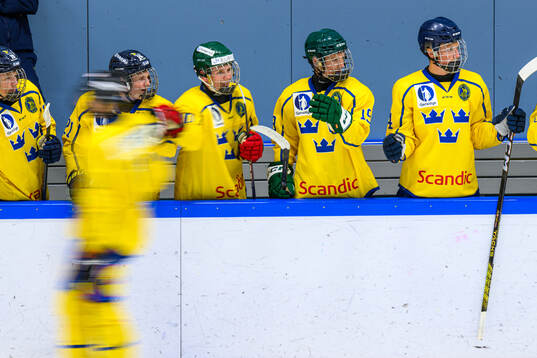 Players of Sweden celebrate