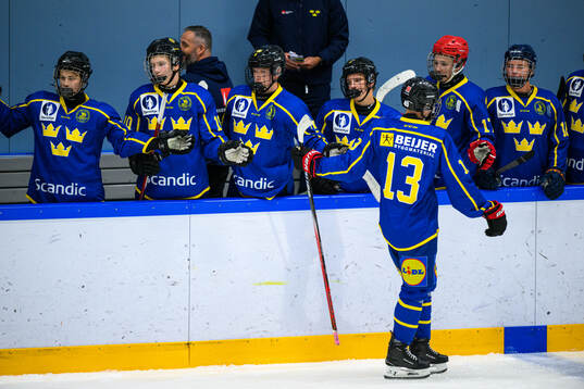 Players of Sweden celebrate