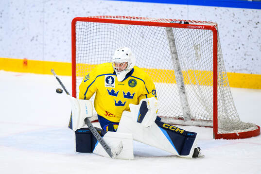 Goaltender Benjamin Lindbom of Sweden