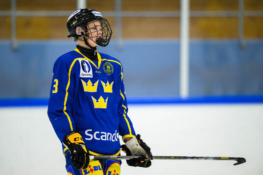 Vilmer Ekblad of Sweden