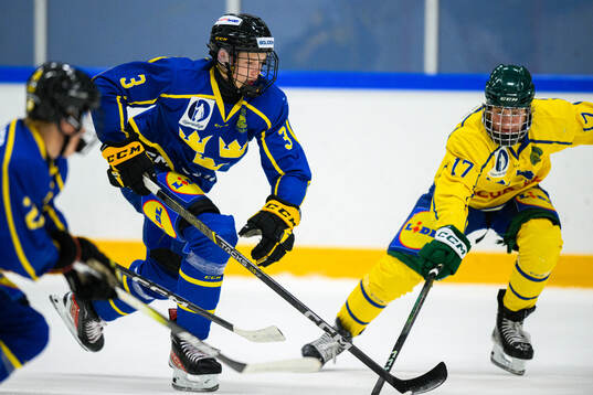 Vilmer Ekblad and Lukas Andersson of Sweden
