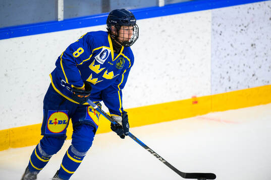 Ola Palme of Sweden
