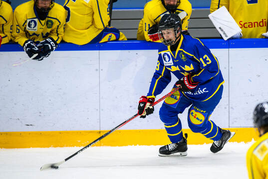 Elton Hermansson of Sweden