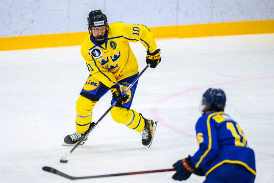 Max Johannesén of Sweden