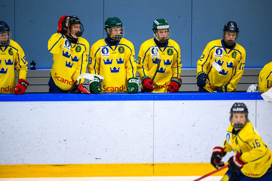 Players of Sweden