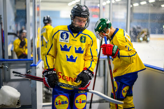 Marcus Nordmark of Sweden