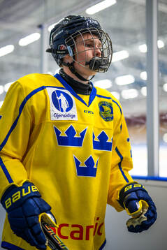Fabian Merkle-Rohdin of Sweden