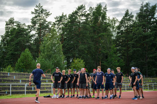 Players of Sweden