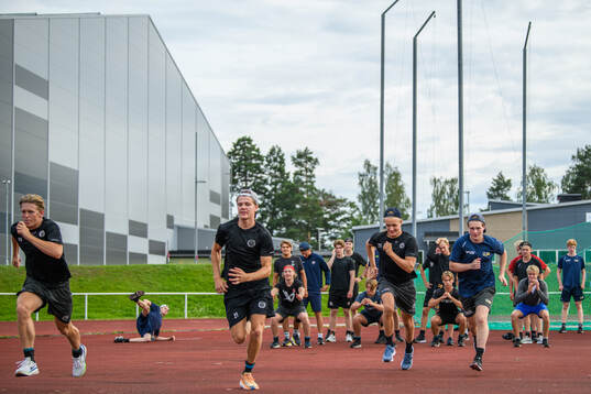 Players of Sweden