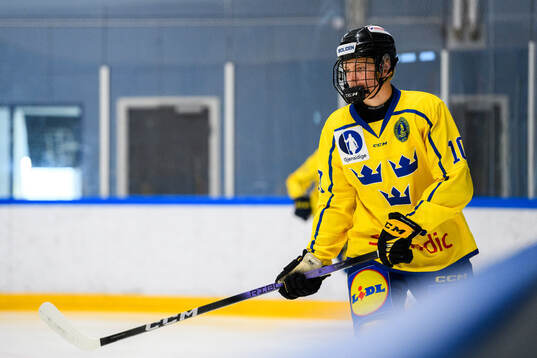 Max Johannesén of Sweden