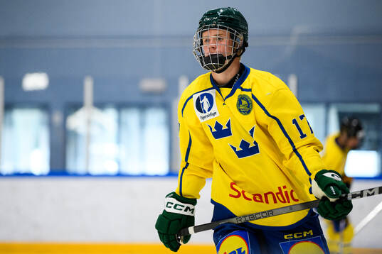 Lukas Andersson of Sweden