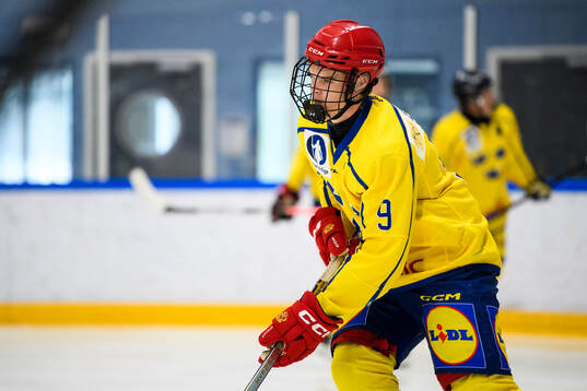 Vilgot Lidén of Sweden