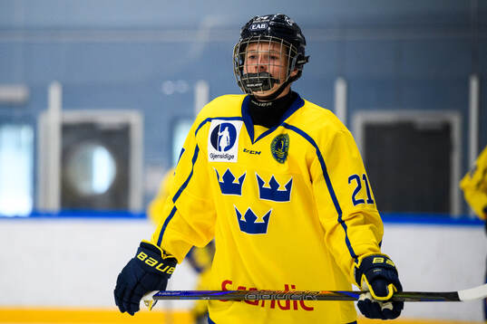 Fabian Merkle-Rohdin of Sweden