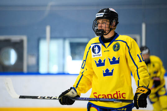 Max Johannesén of Sweden