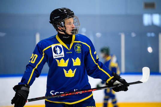 Leo Tjälldén of Sweden