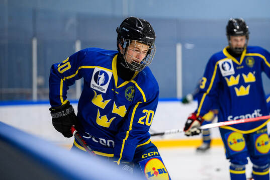 Leo Tjälldén of Sweden