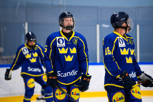 Malte Brolin of Sweden