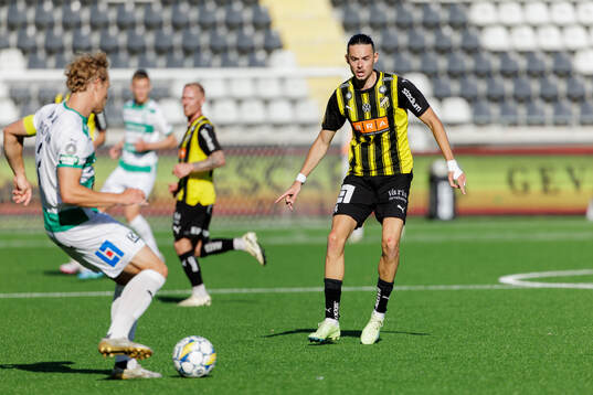 Häckens Amor Layouni