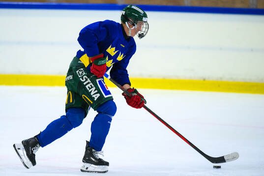 Vilmer Hagelin of Sweden