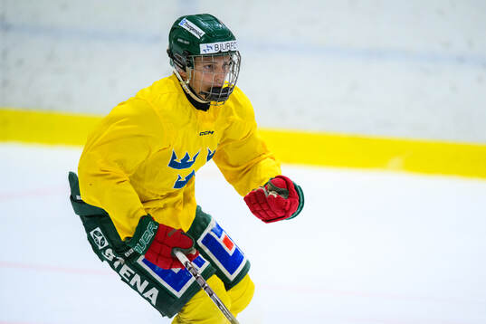Alfred Persson of Sweden
