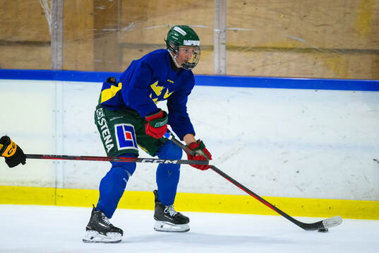 Vilmer Hagelin of Sweden