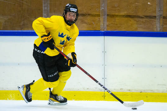 Viktor Klingsell of Sweden