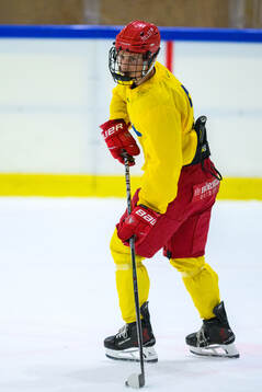 Hugo Hallin of Sweden