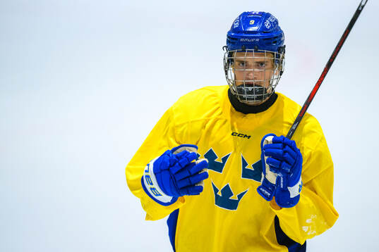 Jonas Lagerberg-Hoen of Sweden