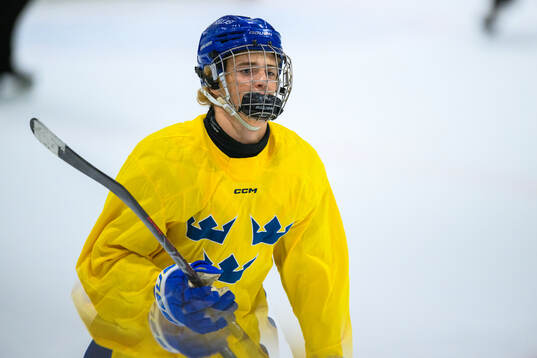 Jonas Lagerberg-Hoen of Sweden