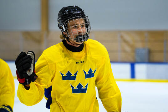 Jakob Ihs Wozniak of Sweden celebrates a goal