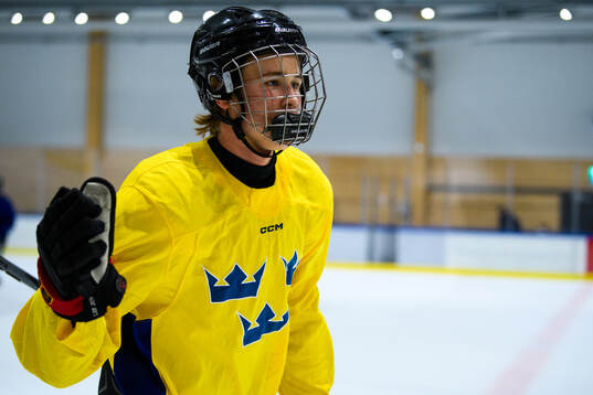 Jakob Ihs Wozniak of Sweden celebrates a goal