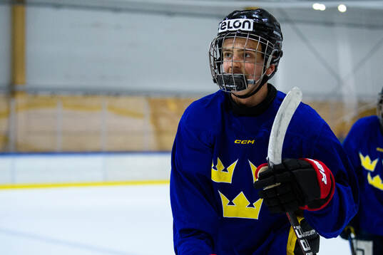 Philip Larsson of Sweden celebrates a goal
